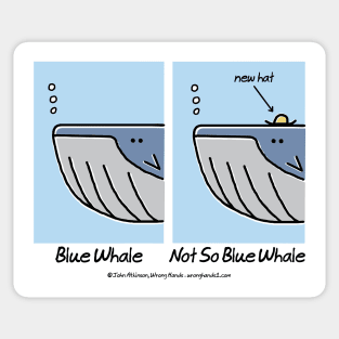 Blue Whale Sticker